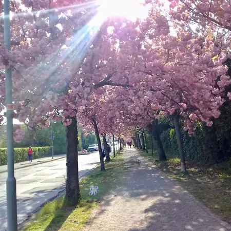 Апартаменты Stilvoll-modern-neu Мербуш