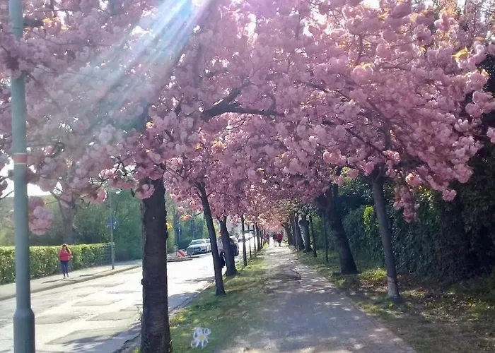 Lejlighed Stilvoll-modern-neu Meerbusch